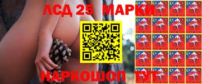 спиды Севастополь