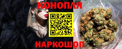 крисы Северобайкальск