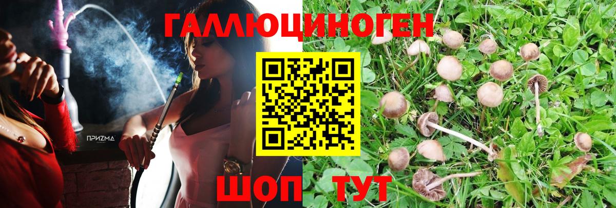 как найти закладки  Псилоцибиновые грибы мицелий  Вход с VPN  Галлюциногенные грибы Cubensis  Аксай 
