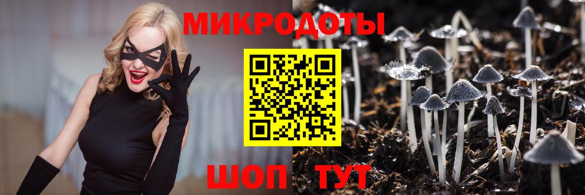 Псилоцибиновые грибы мухоморы Аксай